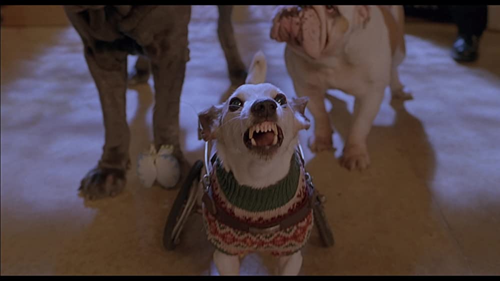 ベイブ／都会へ行くの画像