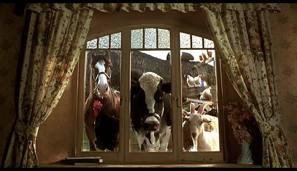 ベイブ／都会へ行くの画像