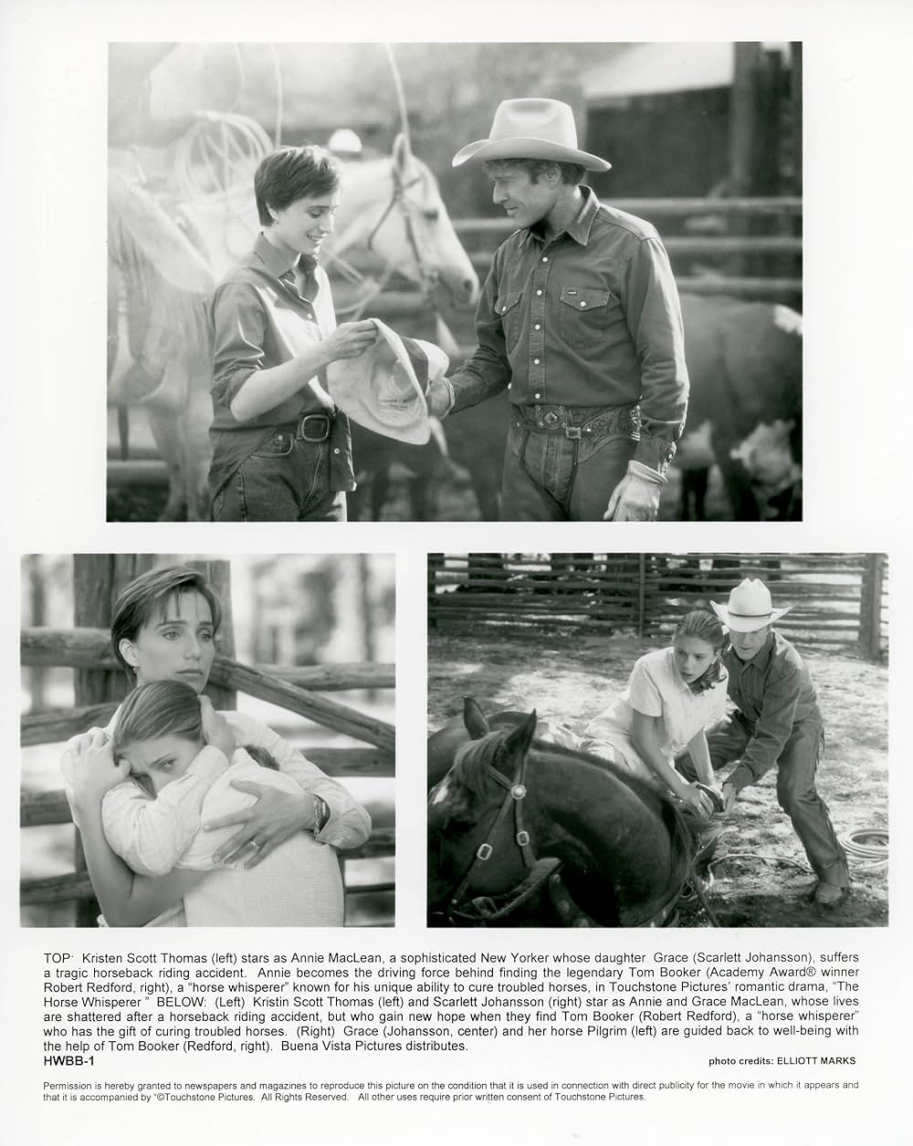 モンタナの風に抱かれての画像