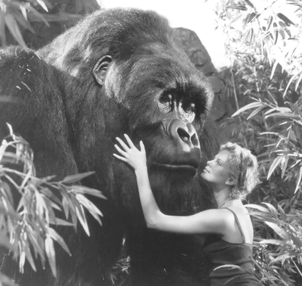 マイティ・ジョーの画像