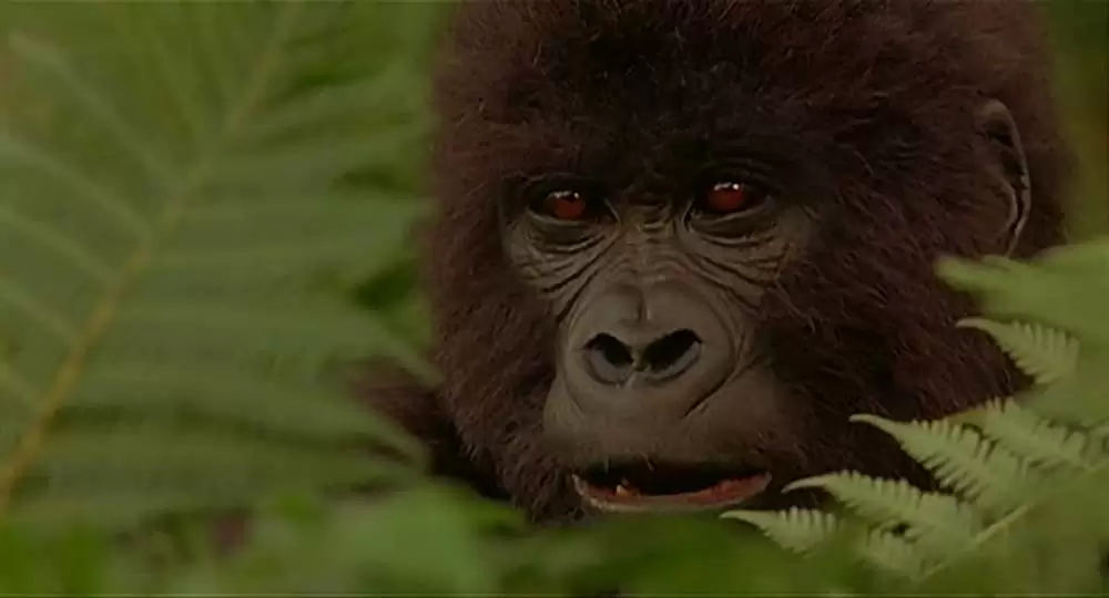 マイティ・ジョーの画像