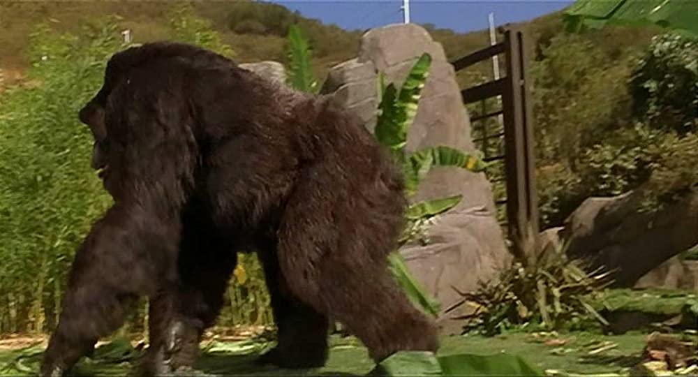 マイティ・ジョーの画像