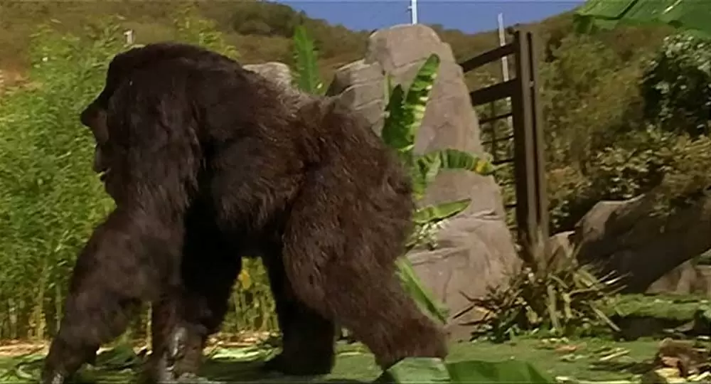 マイティ・ジョーの画像