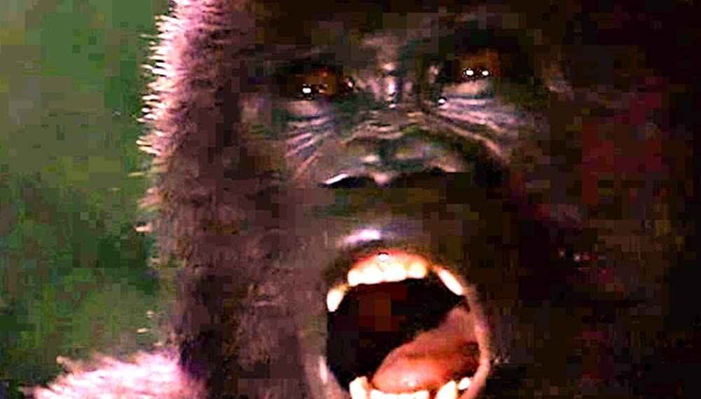マイティ・ジョーの画像