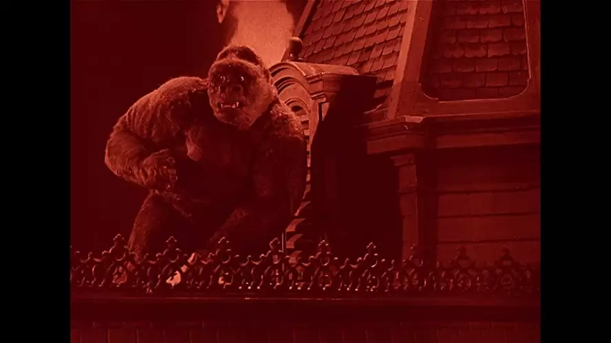 猿人ジョー・ヤングの画像