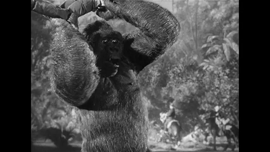 猿人ジョー・ヤングの画像