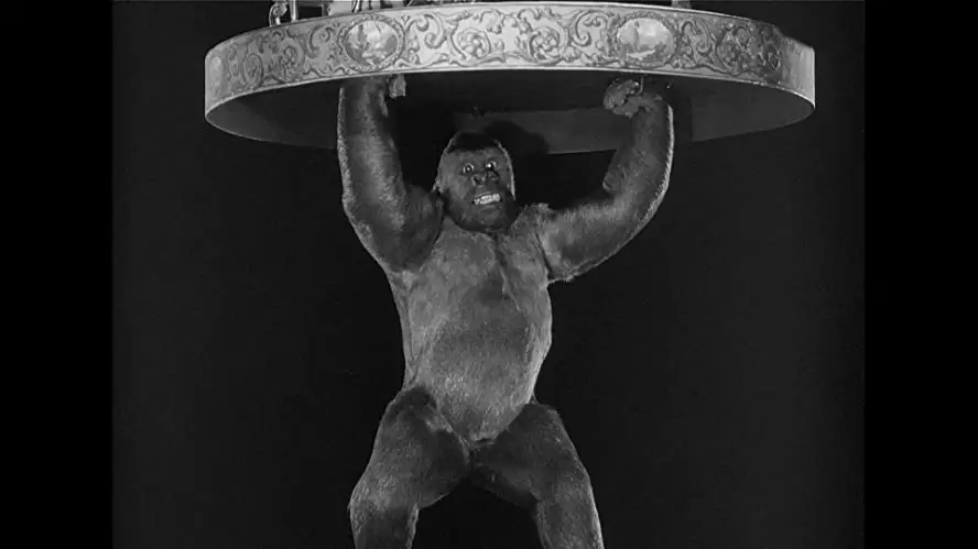 猿人ジョー・ヤングの画像