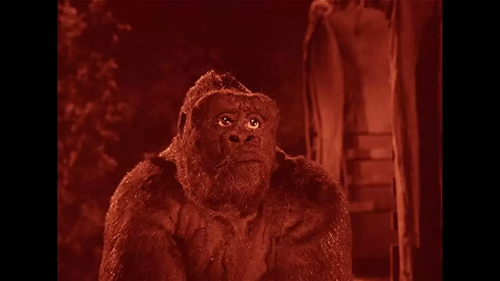 猿人ジョー・ヤングの画像