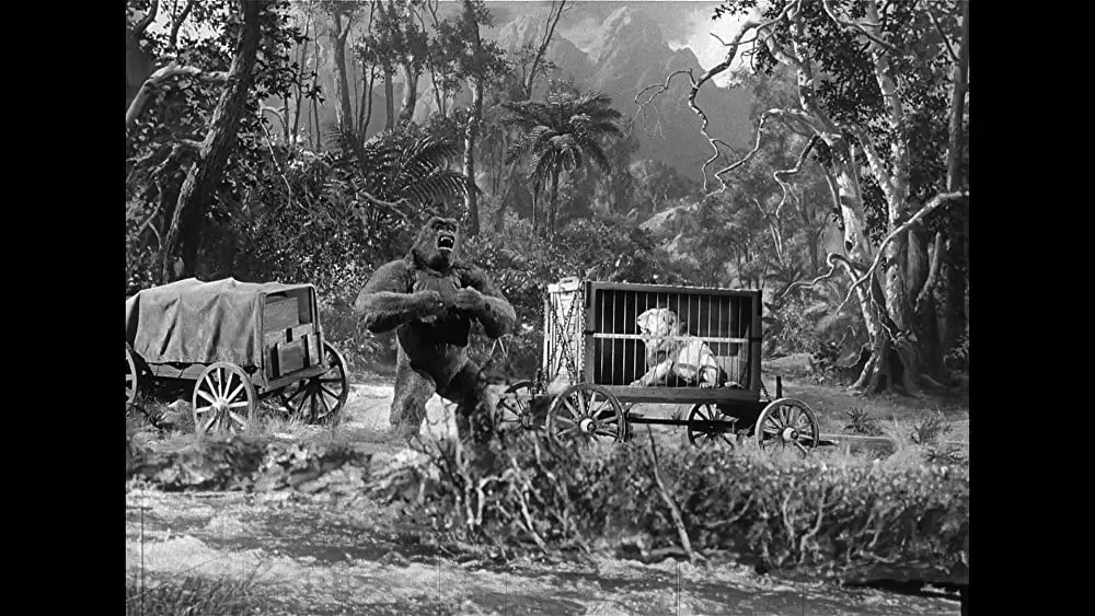 猿人ジョー・ヤングの画像