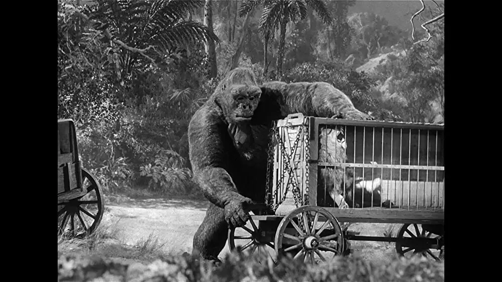 猿人ジョー・ヤングの画像