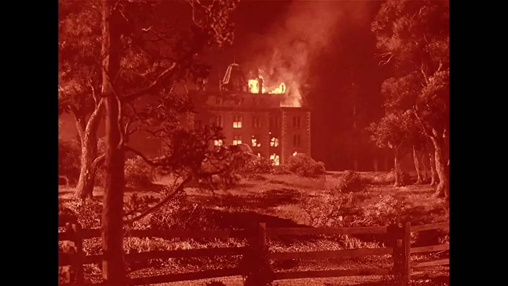 猿人ジョー・ヤングの画像