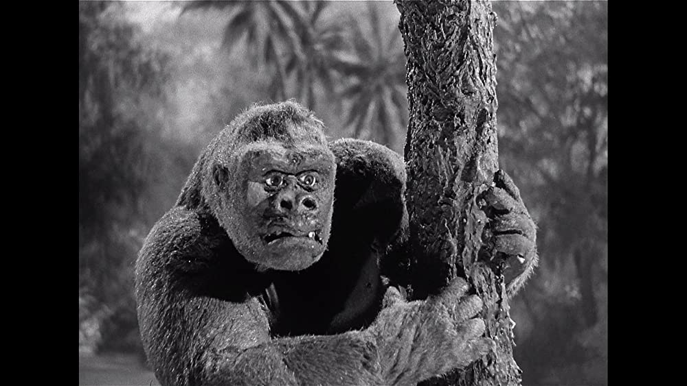 猿人ジョー・ヤング 解説・レビュー・評価 映画ポップコーン