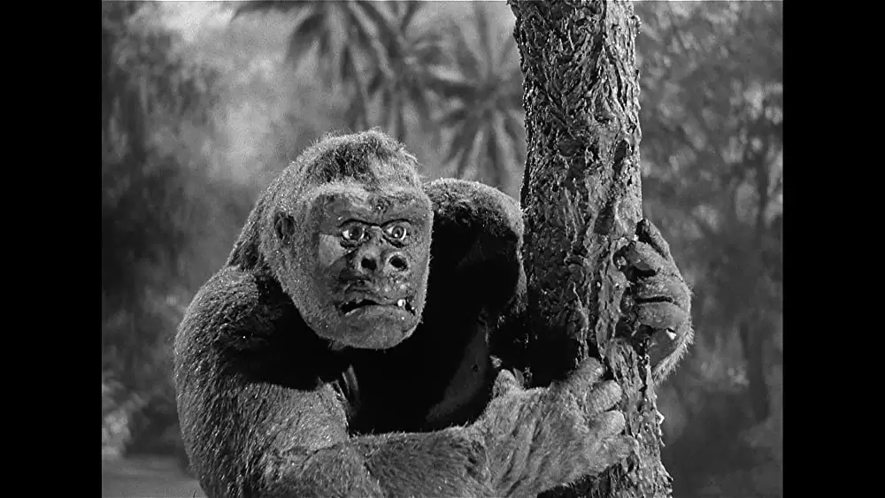 猿人ジョー・ヤングの画像