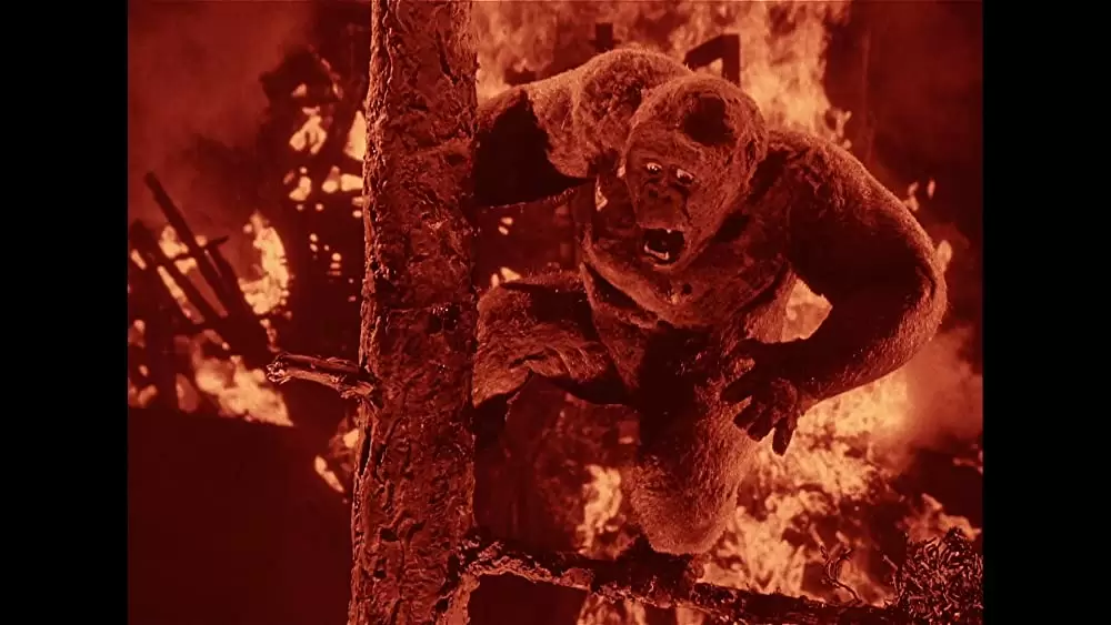 猿人ジョー・ヤングの画像