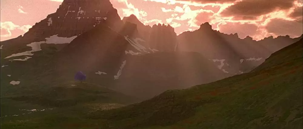 奇蹟の輝きの画像