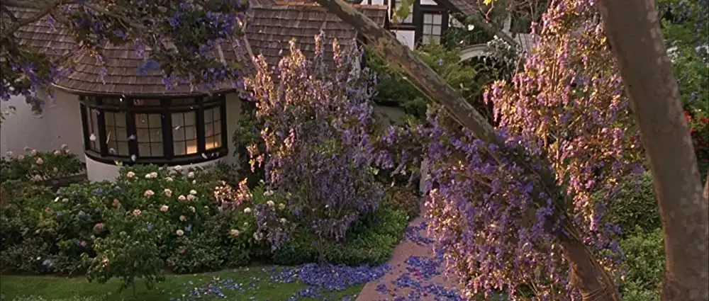 奇蹟の輝きの画像