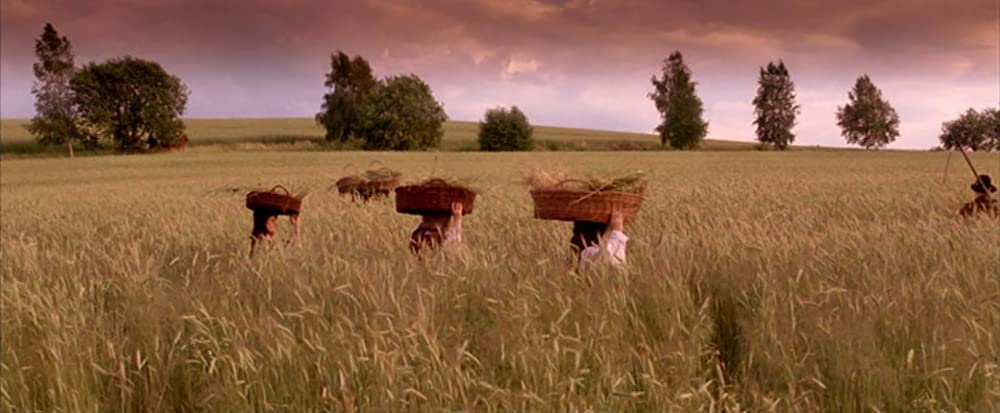 「不滅の恋／ベートーヴェン」の画像