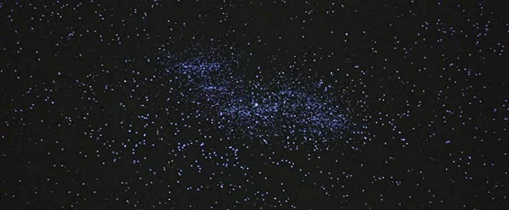 「不滅の恋／ベートーヴェン」の画像