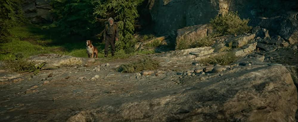 野性の呼び声の画像