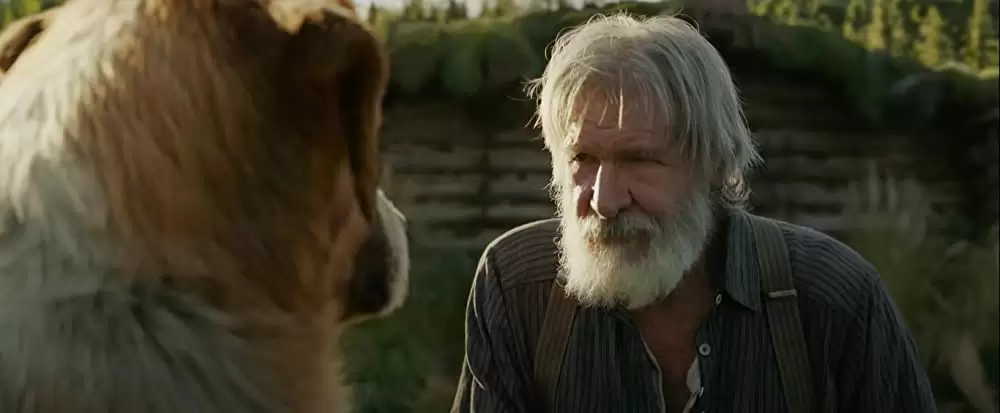 「野性の呼び声」ハリソン・フォード & テリー・ノタリーの画像