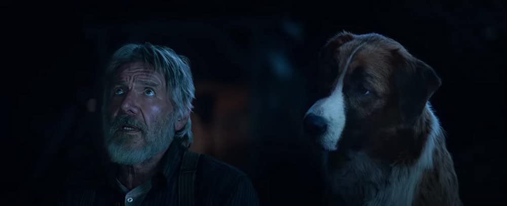 野性の呼び声の画像