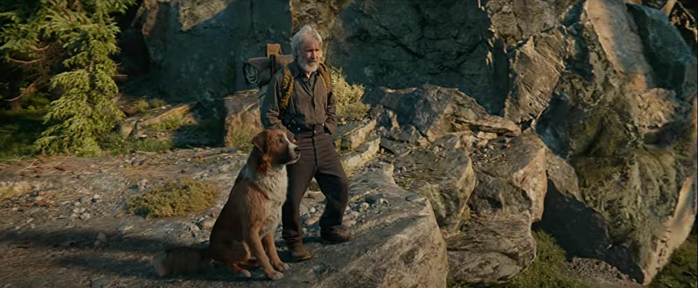 野性の呼び声の画像