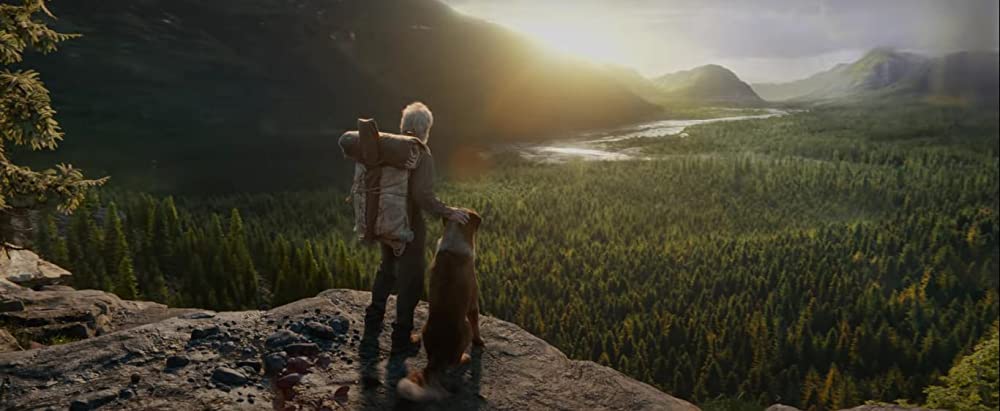 野性の呼び声の画像