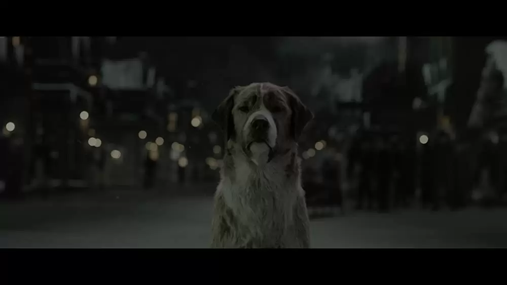 野性の呼び声の画像