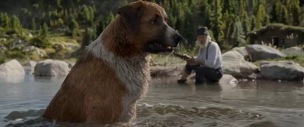 野性の呼び声の画像