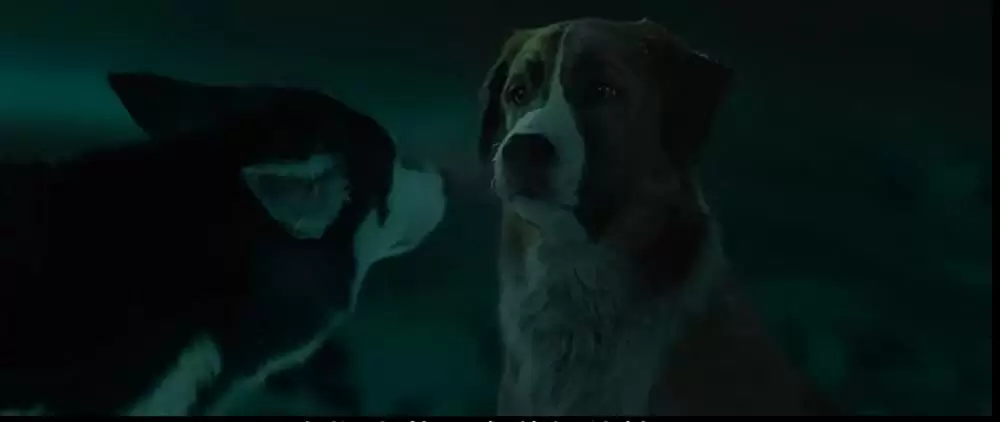 野性の呼び声の画像