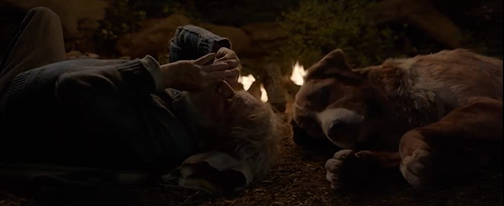 野性の呼び声の画像