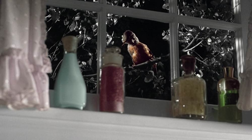 カラー・オブ・ハートの画像