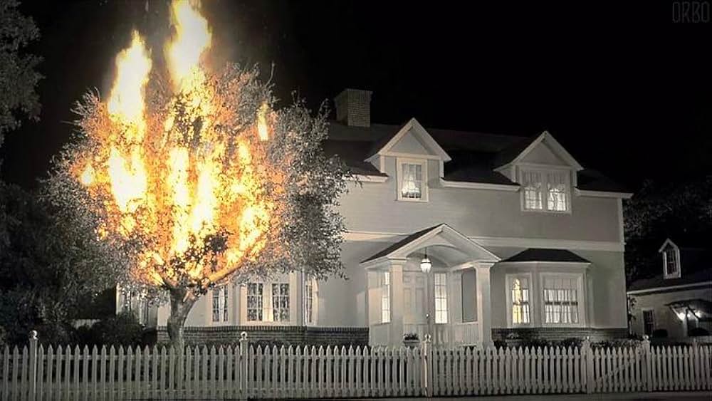 カラー・オブ・ハートの画像