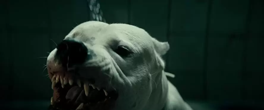 ドッグマンの画像