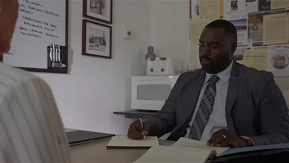 「シンプル・フェイバー」バシア・サラフディンの画像