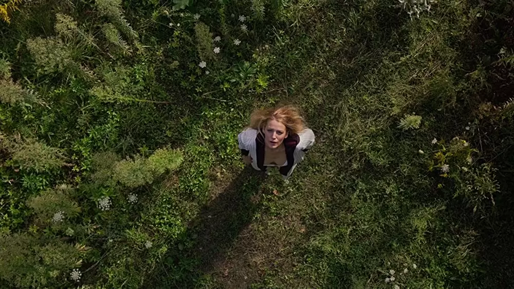 シンプル・フェイバーの画像