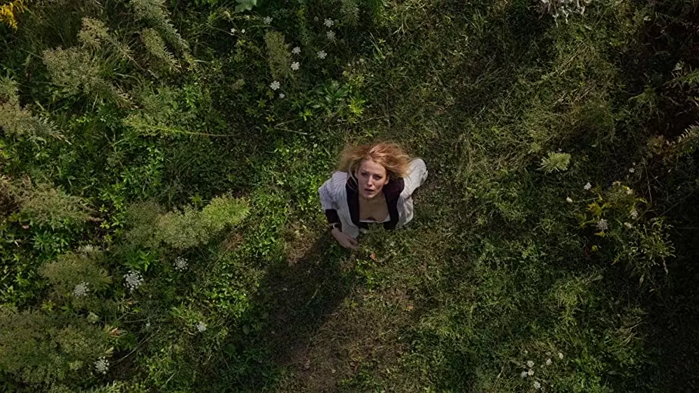 シンプル・フェイバーの画像