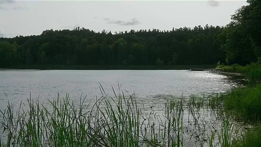 シンプル・フェイバーの画像