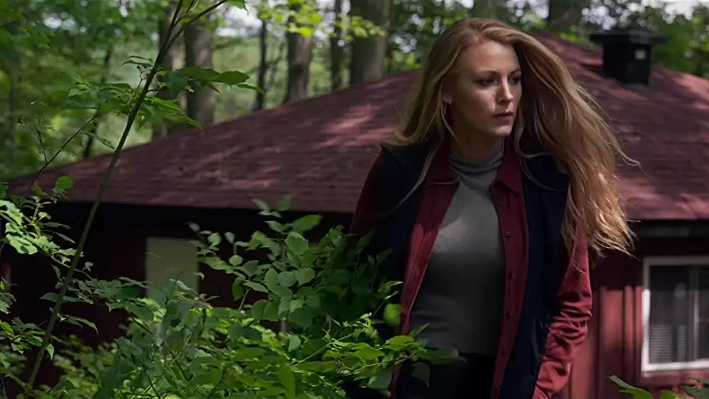 シンプル・フェイバーの画像