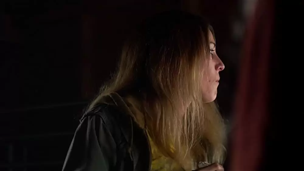 シンプル・フェイバーの画像