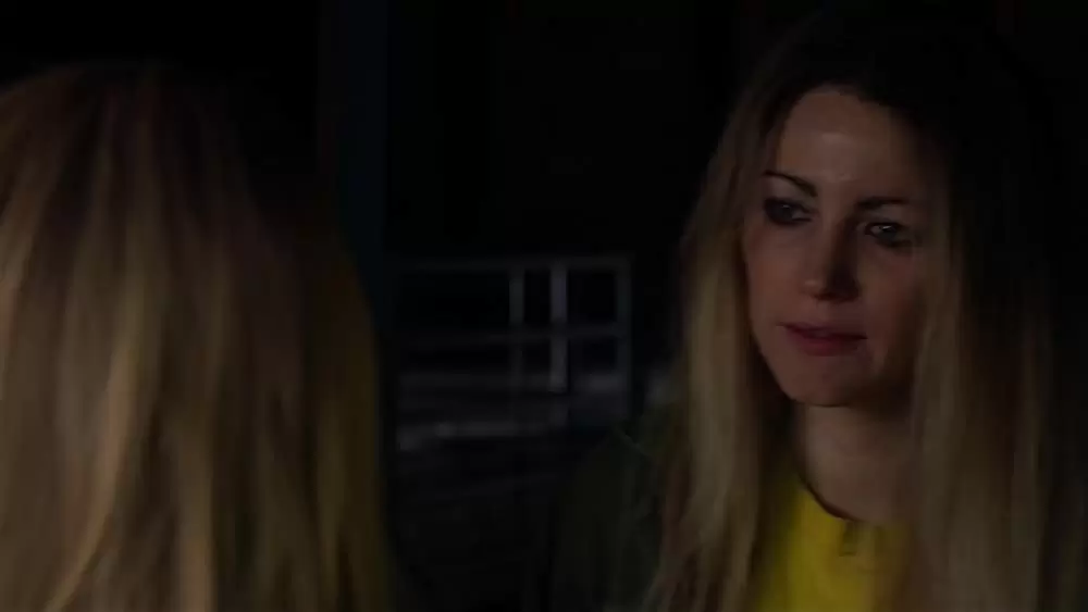 シンプル・フェイバーの画像