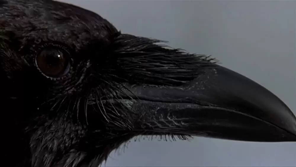 シンプル・プランの画像