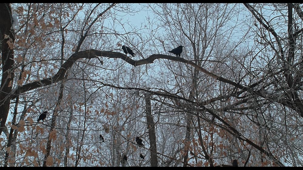 シンプル・プランの画像