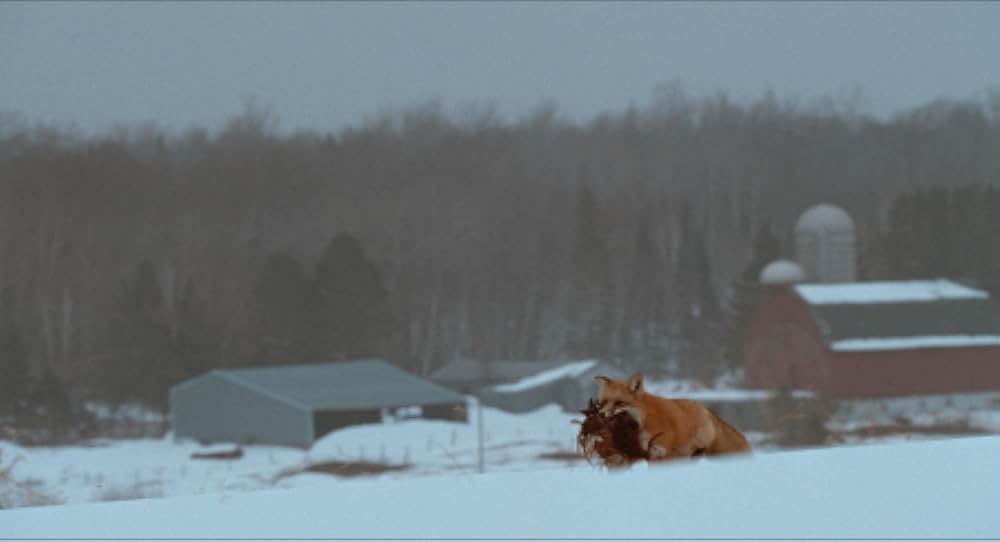 シンプル・プランの画像