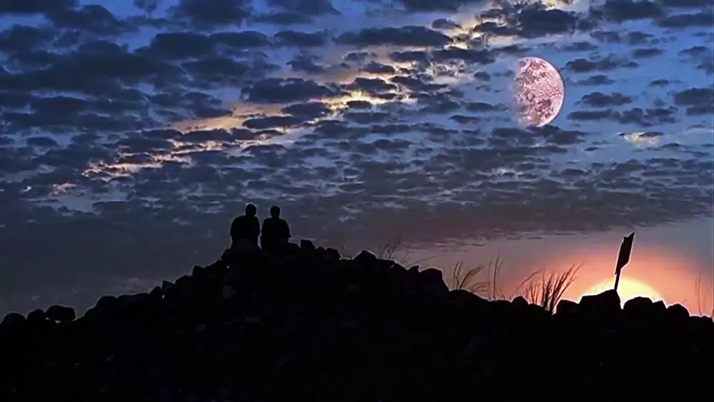 トゥルーマン・ショーの画像