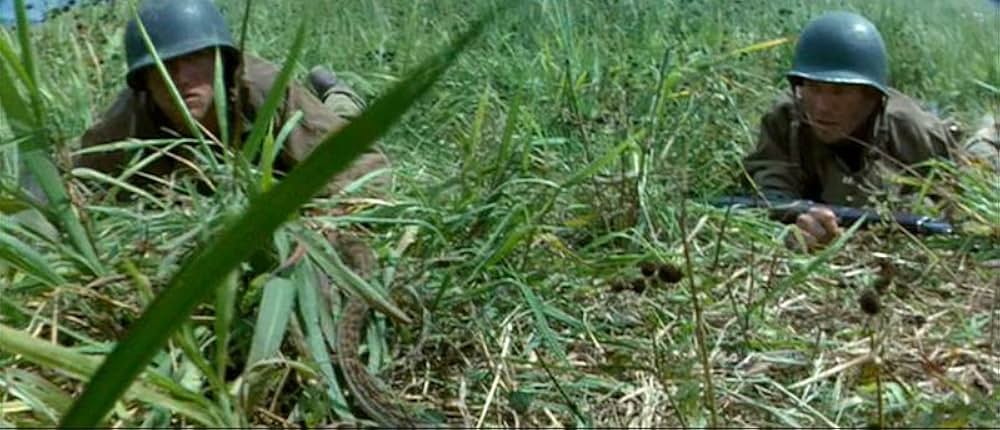 シン・レッド・ラインの画像