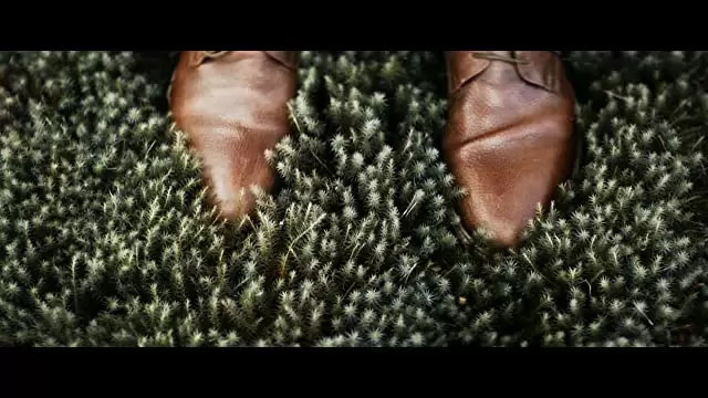 ハミングバード・プロジェクト 0.001 秒の男たちの画像