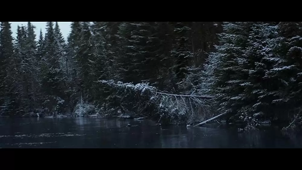 ハミングバード・プロジェクト 0.001 秒の男たちの画像
