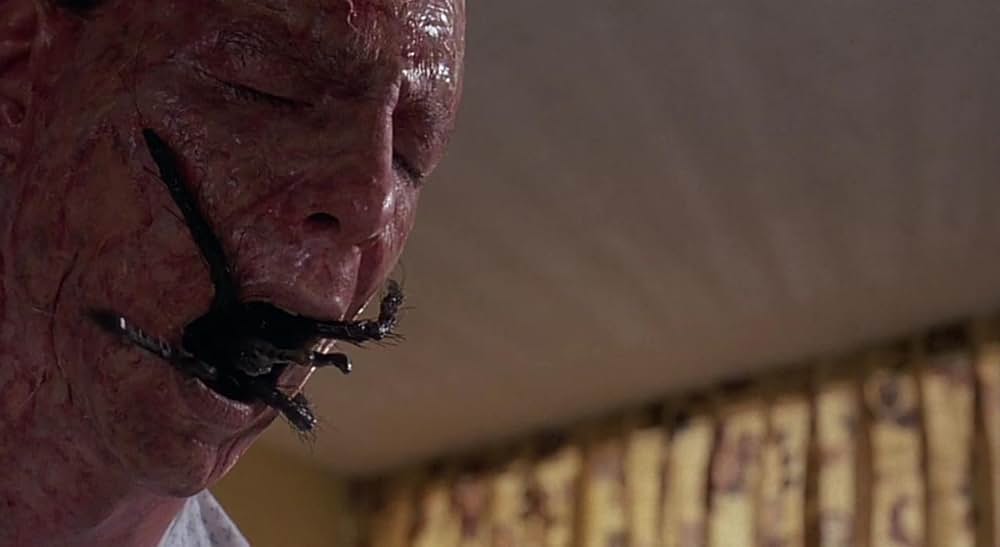 ヒドゥンの画像