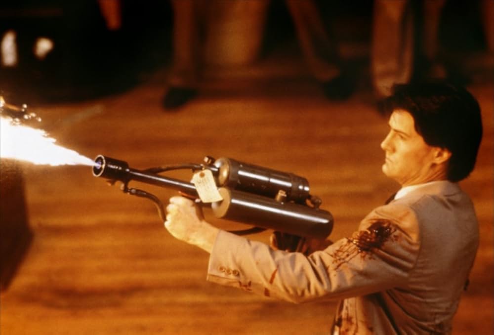 ヒドゥンの画像